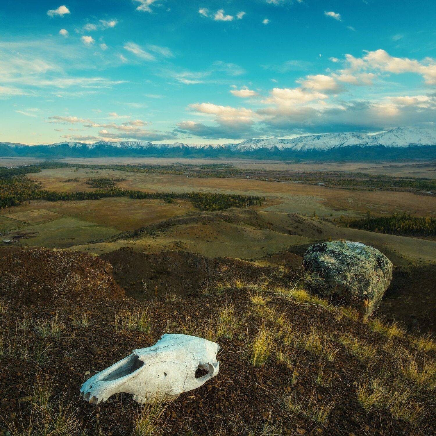 россия, алтай, республика алтай, сибирь, осень, природа, пейзаж, горы, хребет, череп, закат, вечер, река, курайская степь, Оборотов Алексей