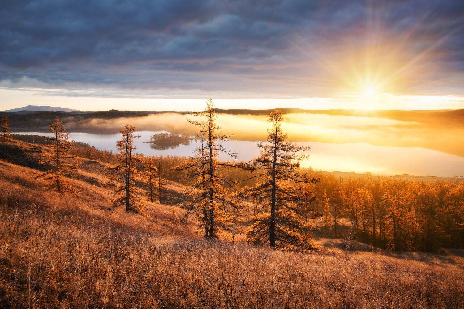 , Михаил Туркеев