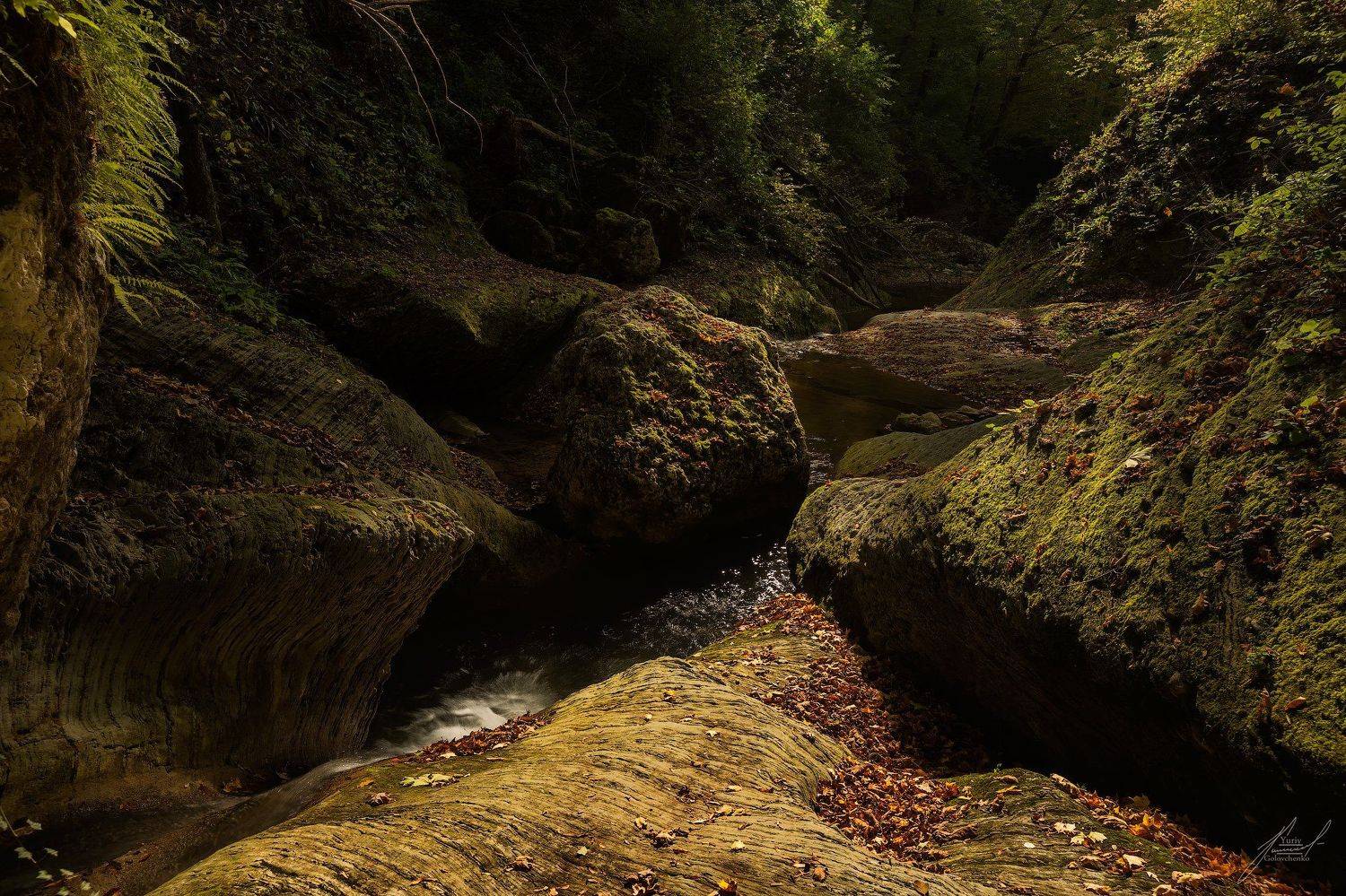 , Юрий Головченко