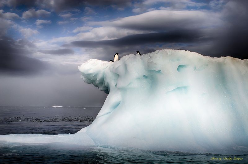 Антарктида 12 фото превью