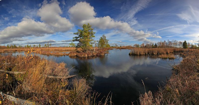 Шатура. Шатурские болота. фото превью