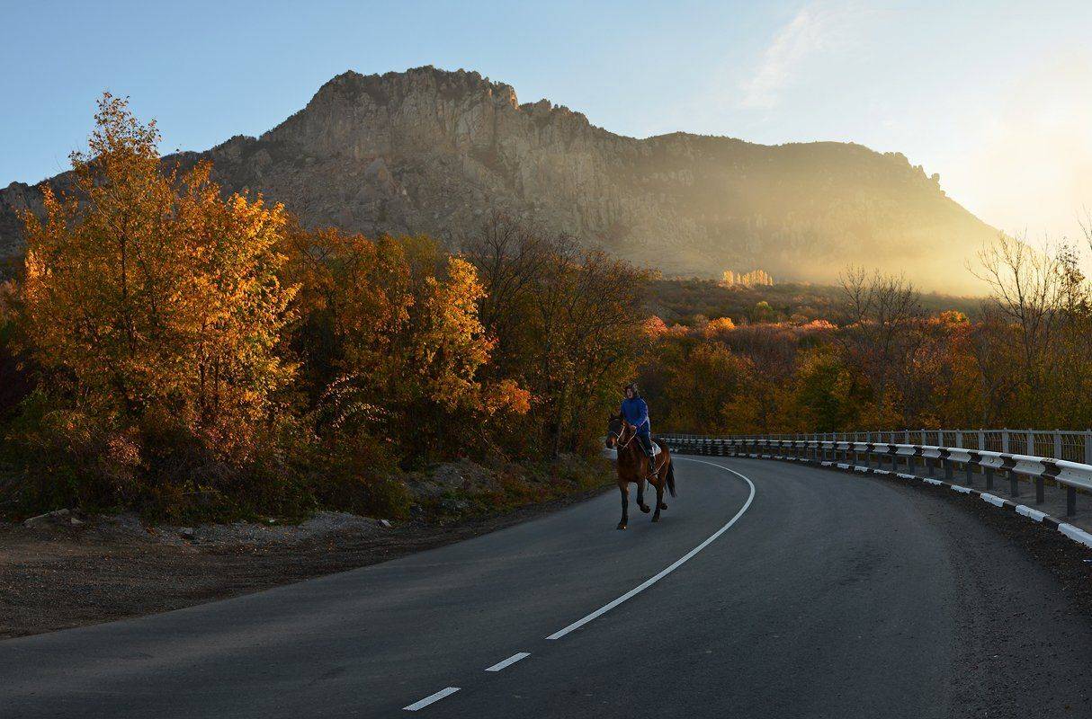 , Владимир Метцгер