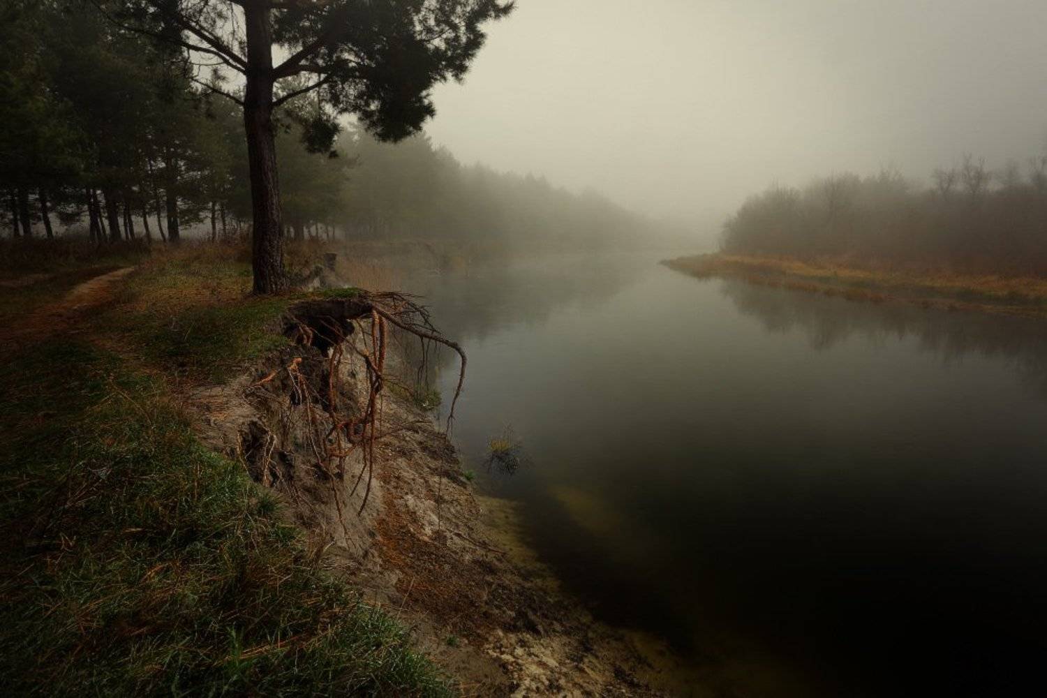 осень, туман, утро, река, ноябрь, Петриченко Валерий