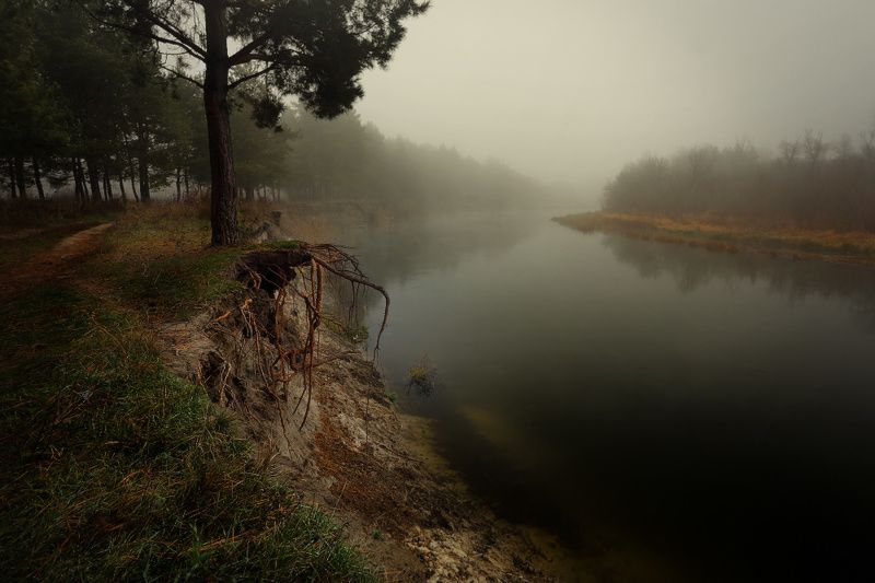 осень, туман, утро, река, ноябрь Уже знакомый, тёмный туман. фото превью