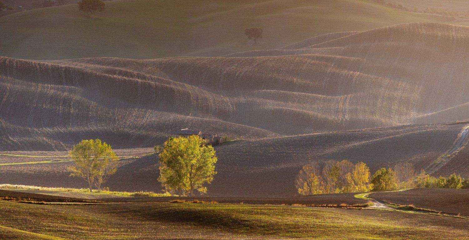 тоскана, Исаков Дмитрий