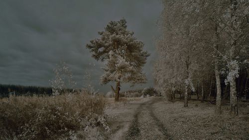 Бузовая. Озеро