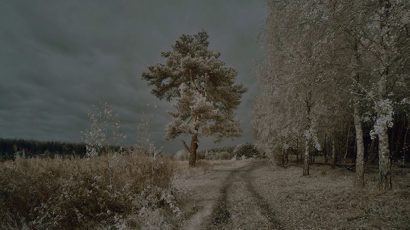 инфракрасный Бузовая. Озеро фото превью