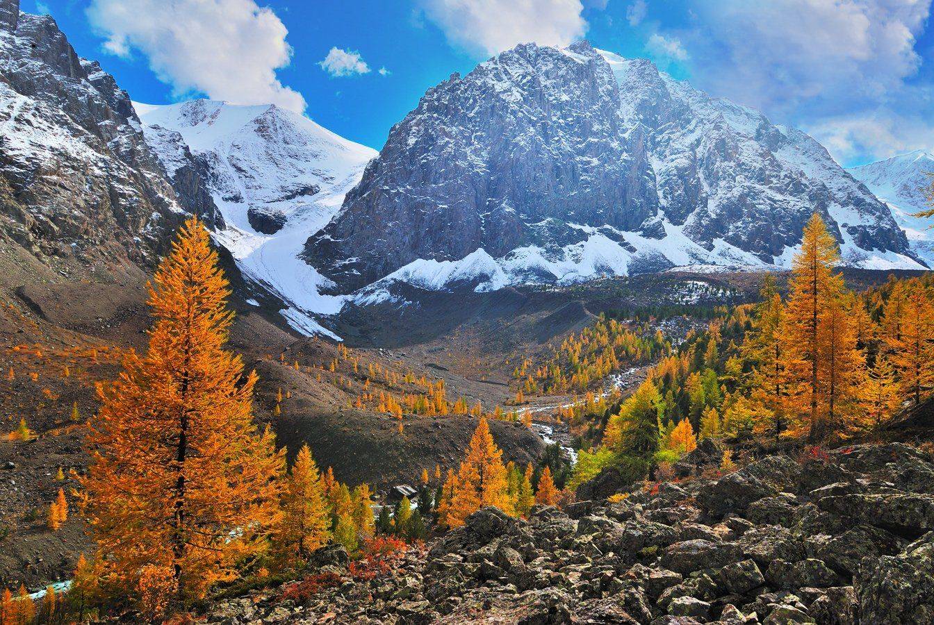 , Клековкин Алексей