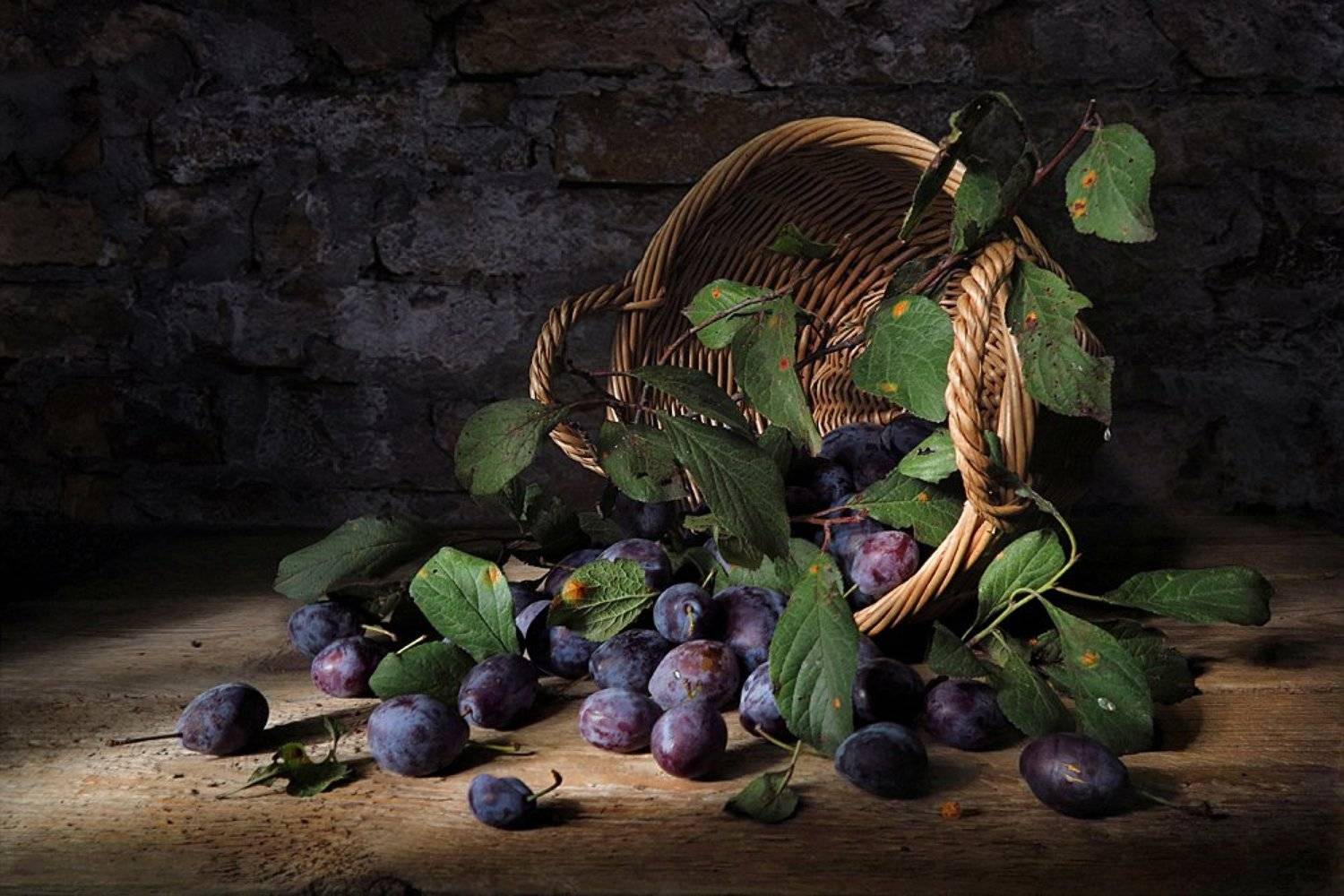 натюрморт,корзина,сливы, Алла Шевченко