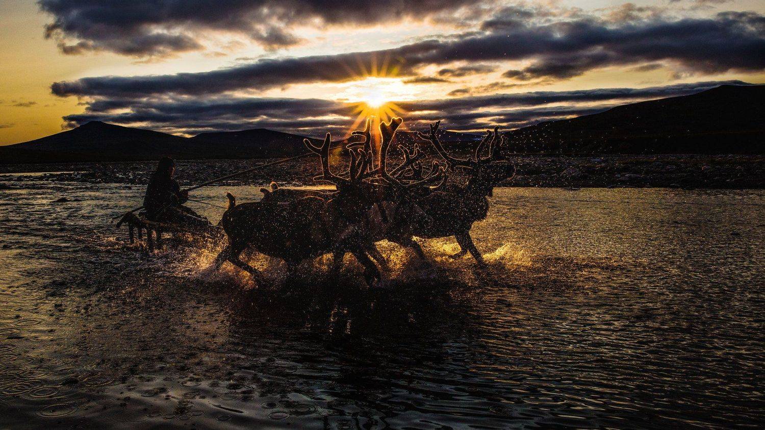 , Алексей Сулоев