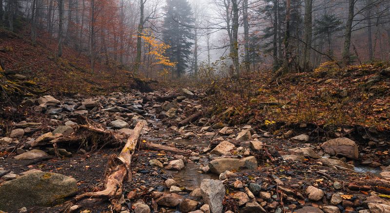 Осень на неизвестном ручье фото превью