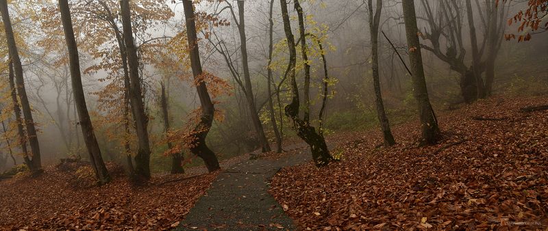 Тропинка в осень фото превью