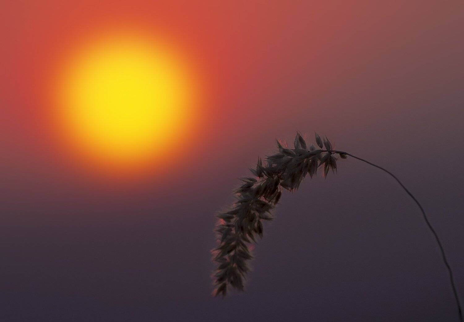 кавказ, машук, закат, лето, Владимир Штыриков