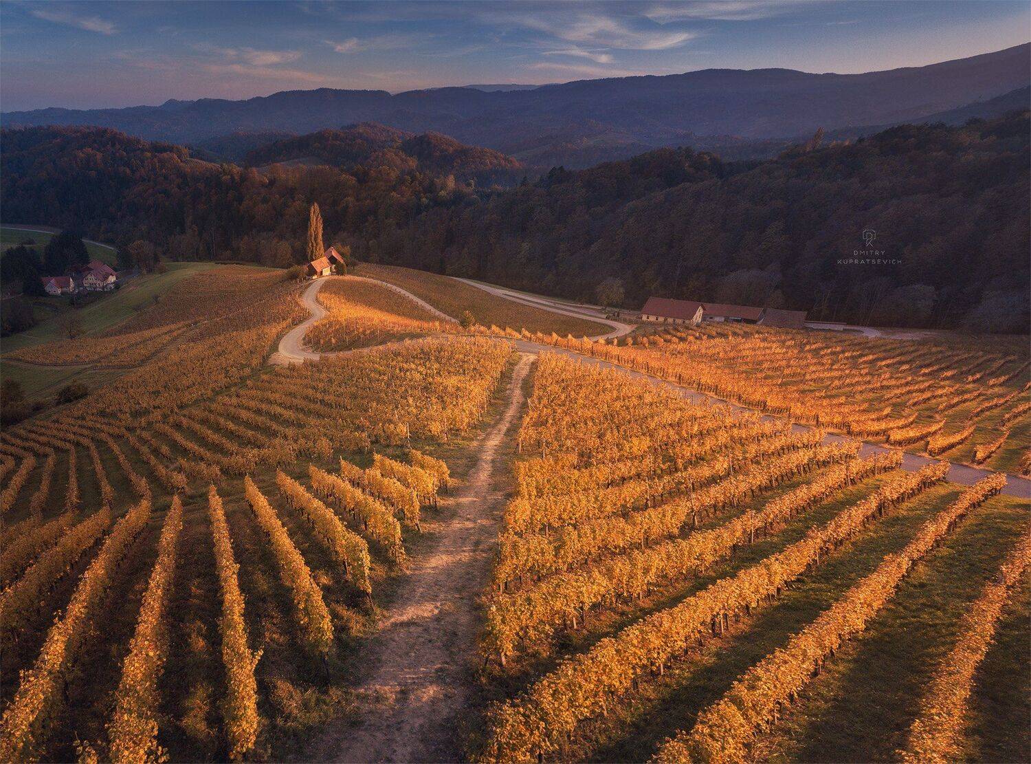 , Дмитрий Купрацевич