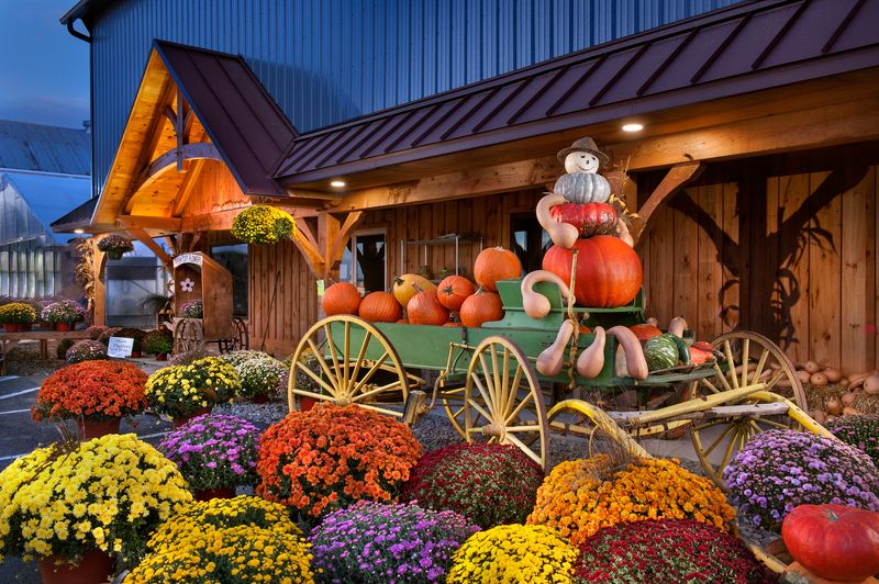 Autumn at the Farm фото превью