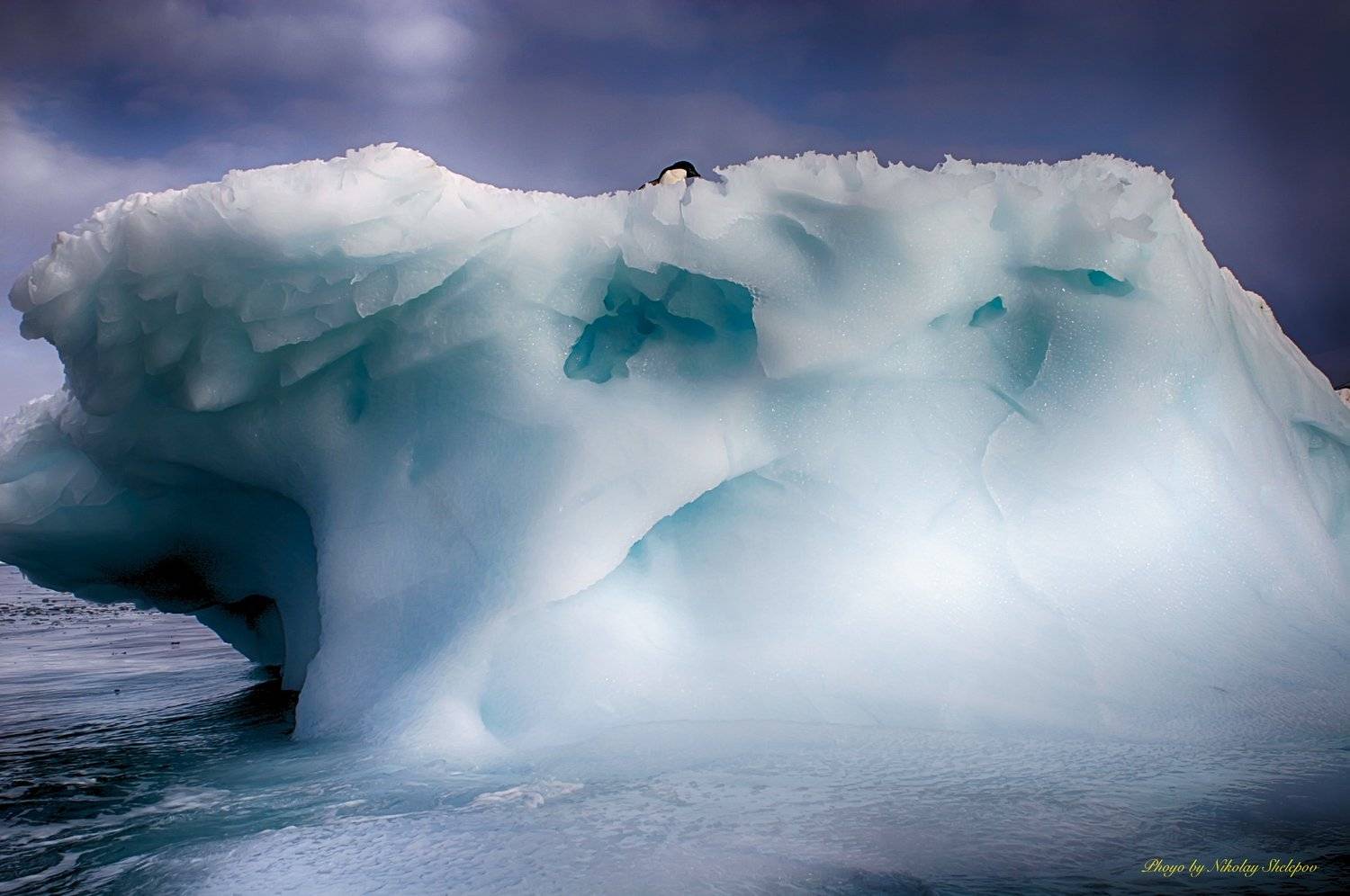 , Николай Шелепов