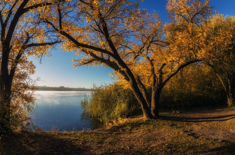 Золото осени фото превью