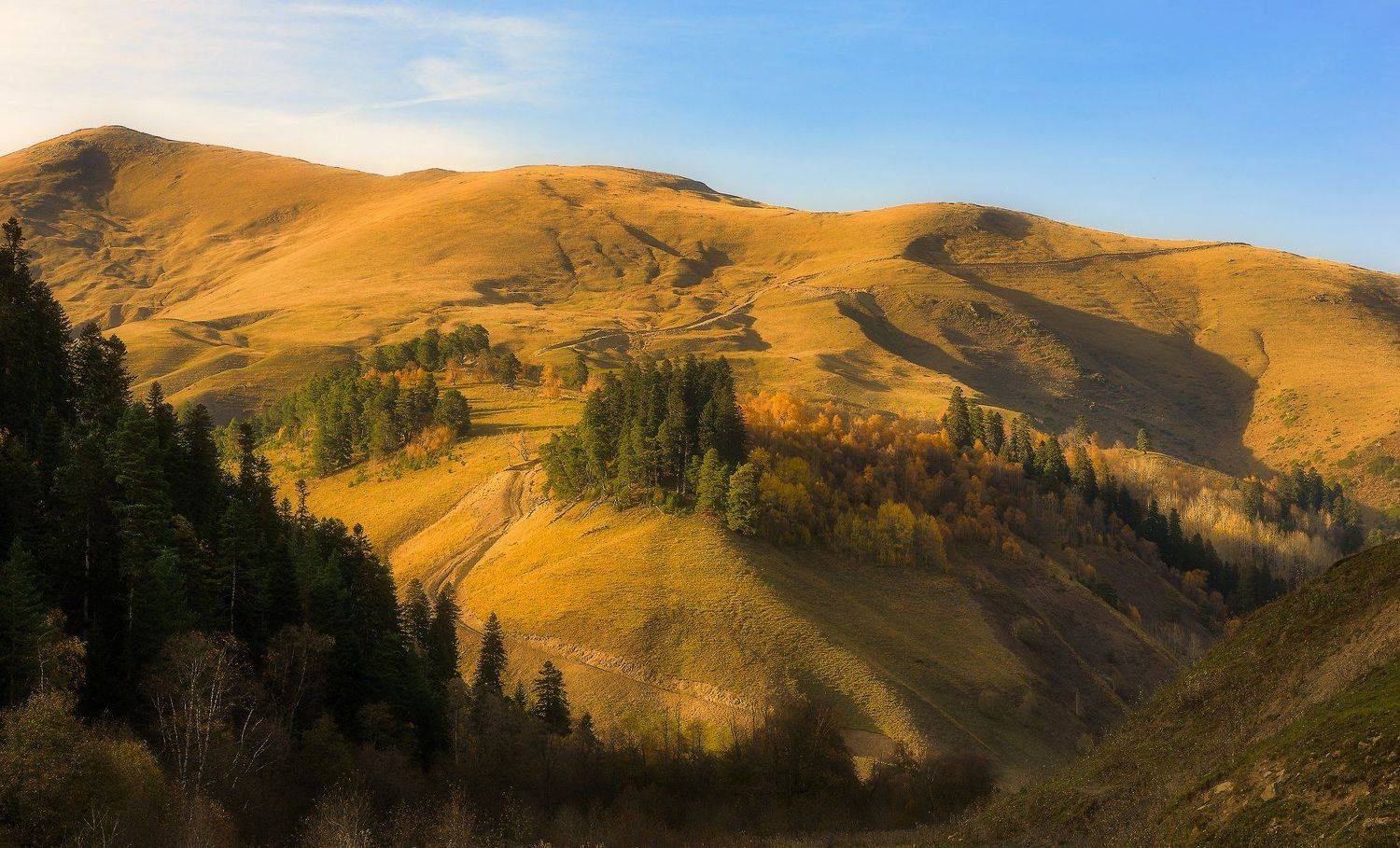 , Alexander Plekhanov