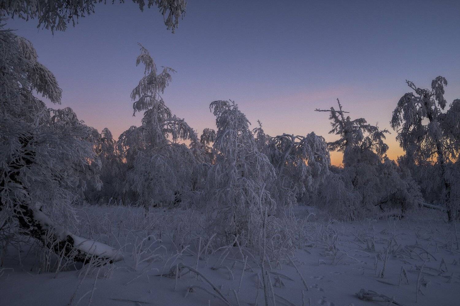 , Андрей Шарапов