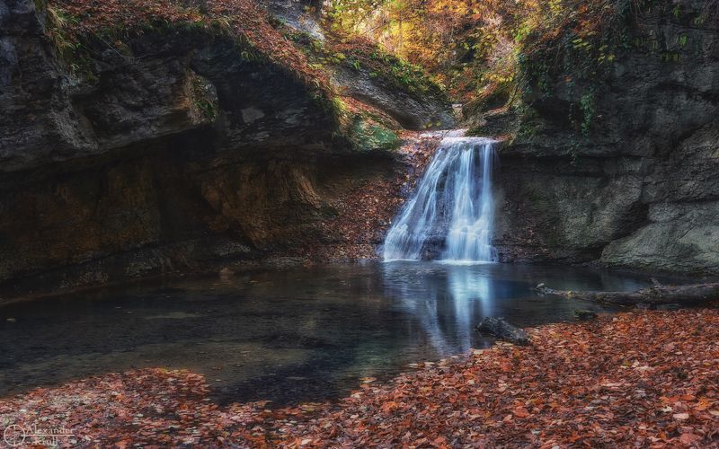 На ноябрьском Мишоко... фото превью