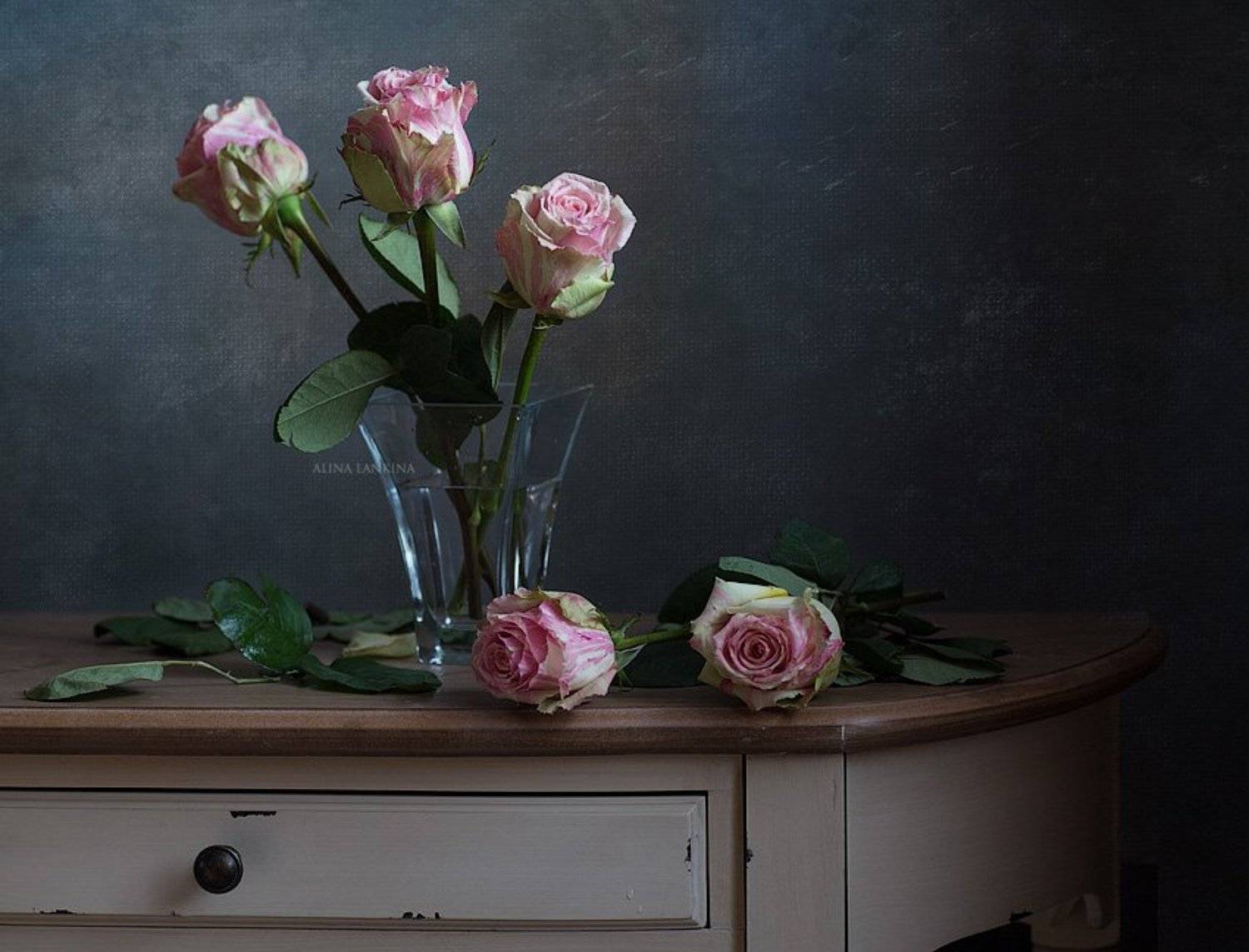 натюрморт, фотонатюрморт, цветы, розы, свет, Алина Ланкина