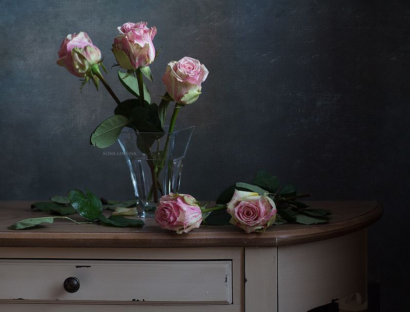 натюрморт, фотонатюрморт, цветы, розы, свет *** фото превью