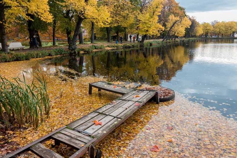 Red Pond фото превью