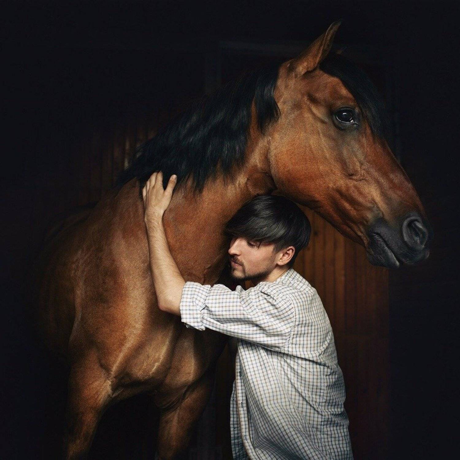 портрет, лошадь, Бабинцева Мария