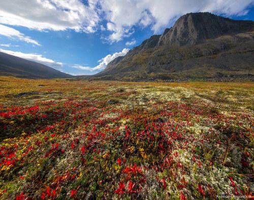 Под перевалом Эльморайок