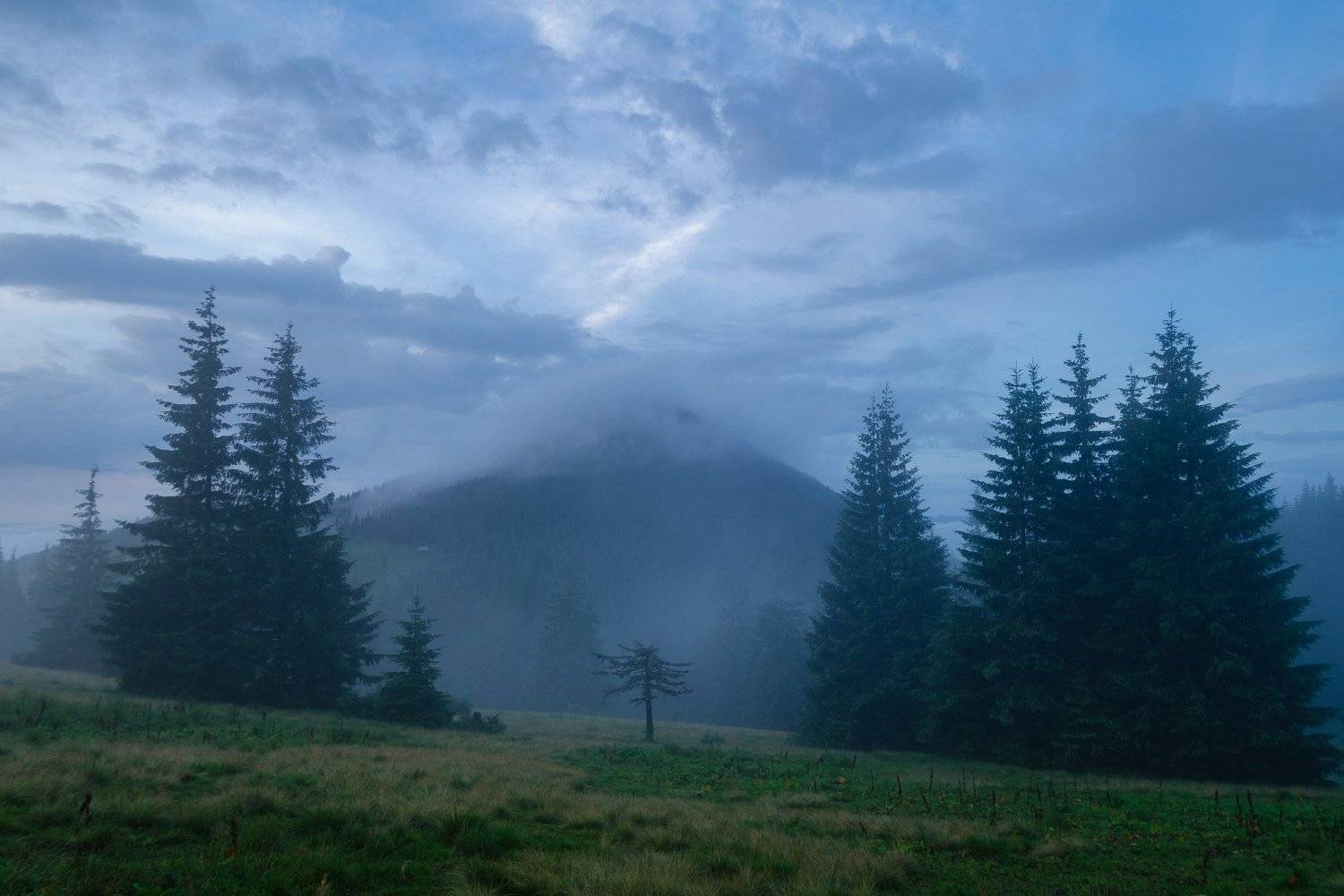 карпаты, горганы, гора хомяк, Зинченко Роман