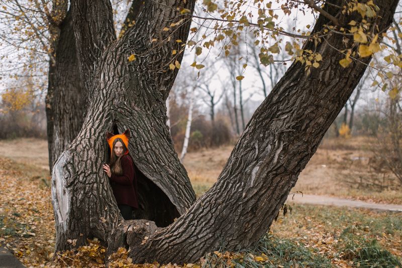 Autumn fox фото превью