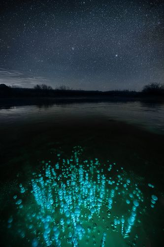 Волшебная ночь