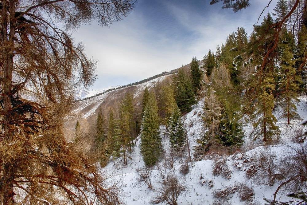 кыргызстан, горы, Элина Магалимова