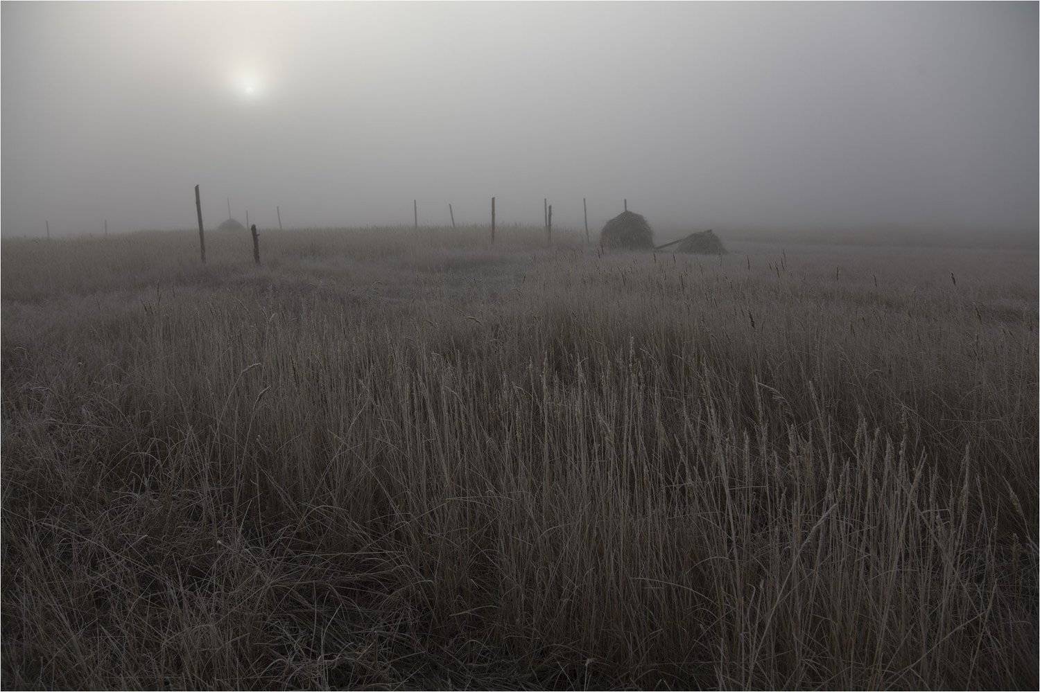 туман, Виктор Кириллов