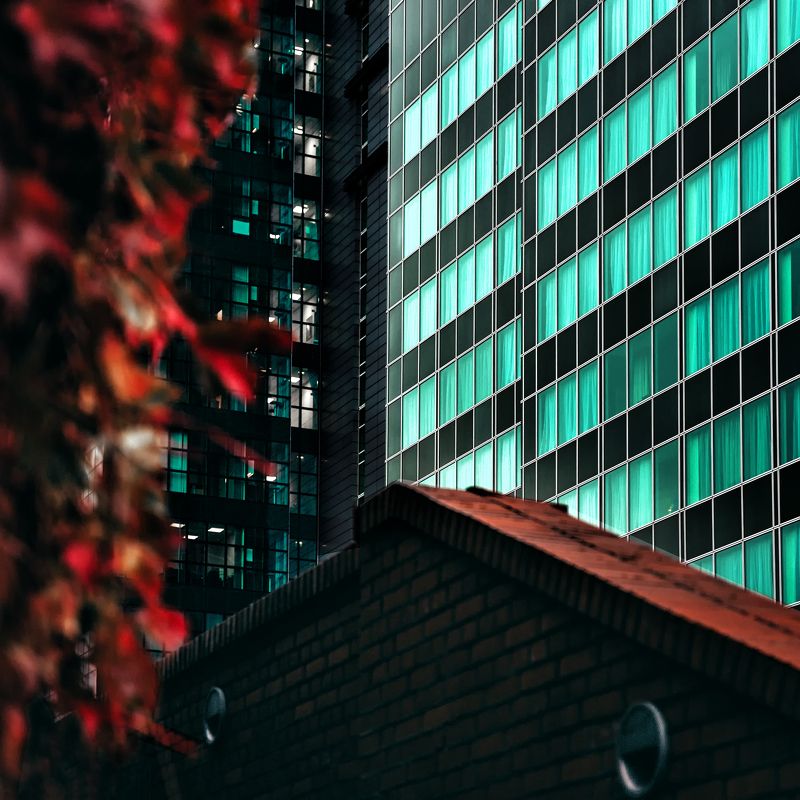 Colors and Shapes фото превью