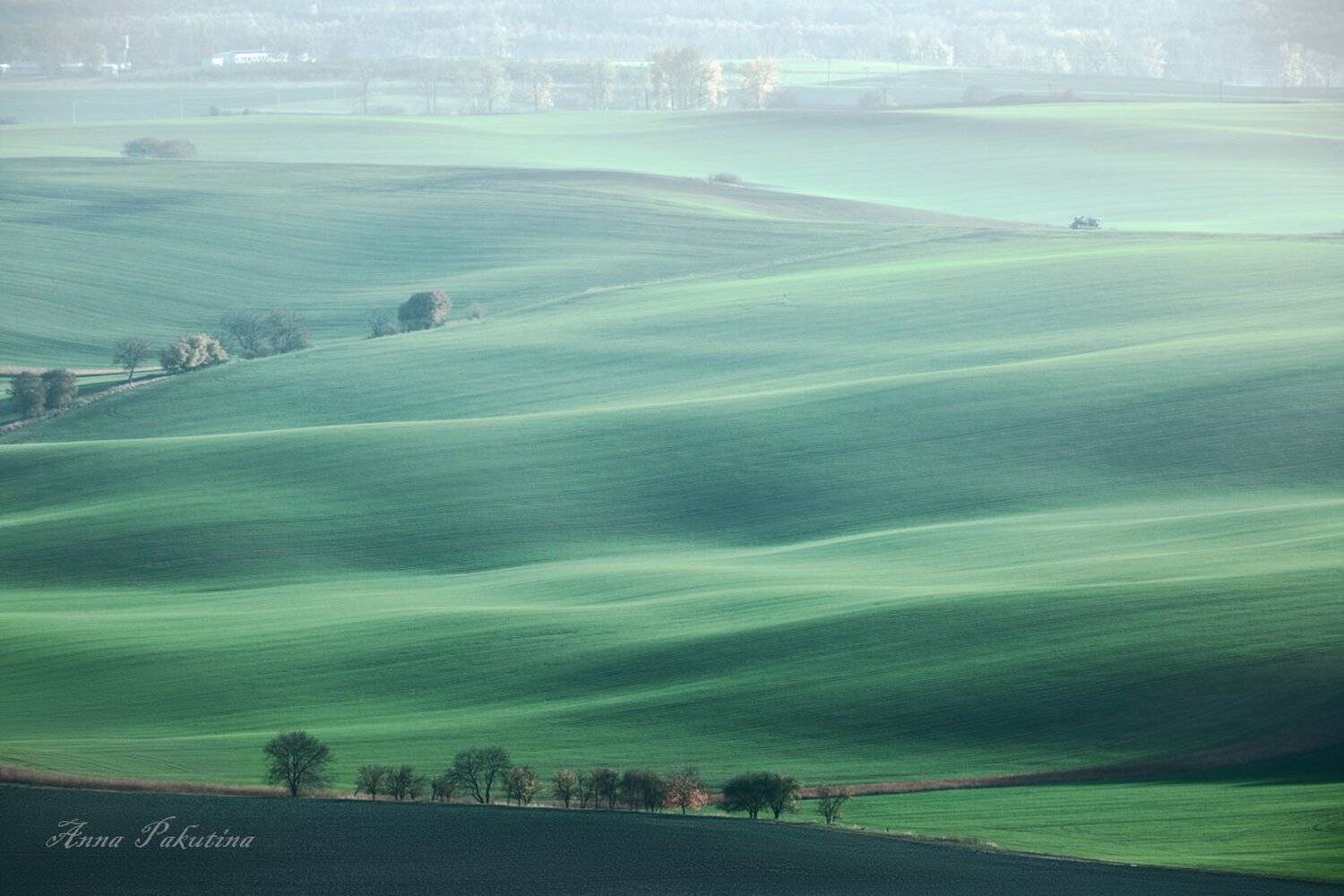 , Анна Пакутина
