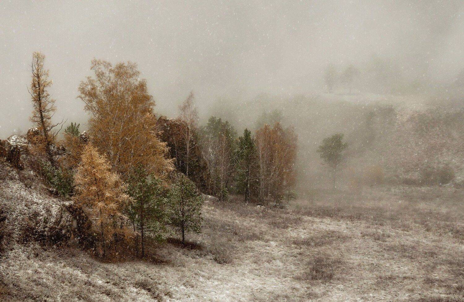 торгашинский хребет. склон. туман., Марина Фомина