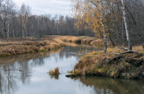 Pro времена года «наоборот»