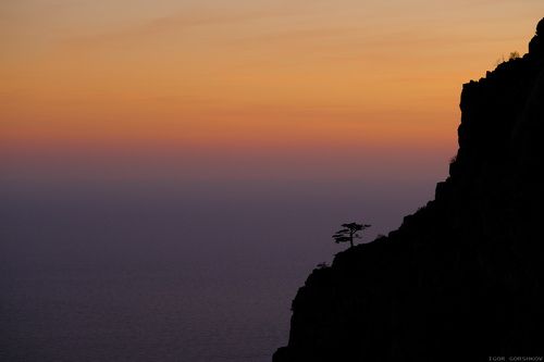 Созерцающий бесконечное море