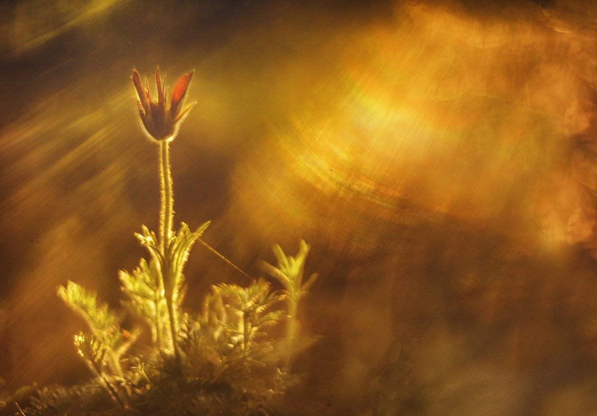 , Татьяна Аверина