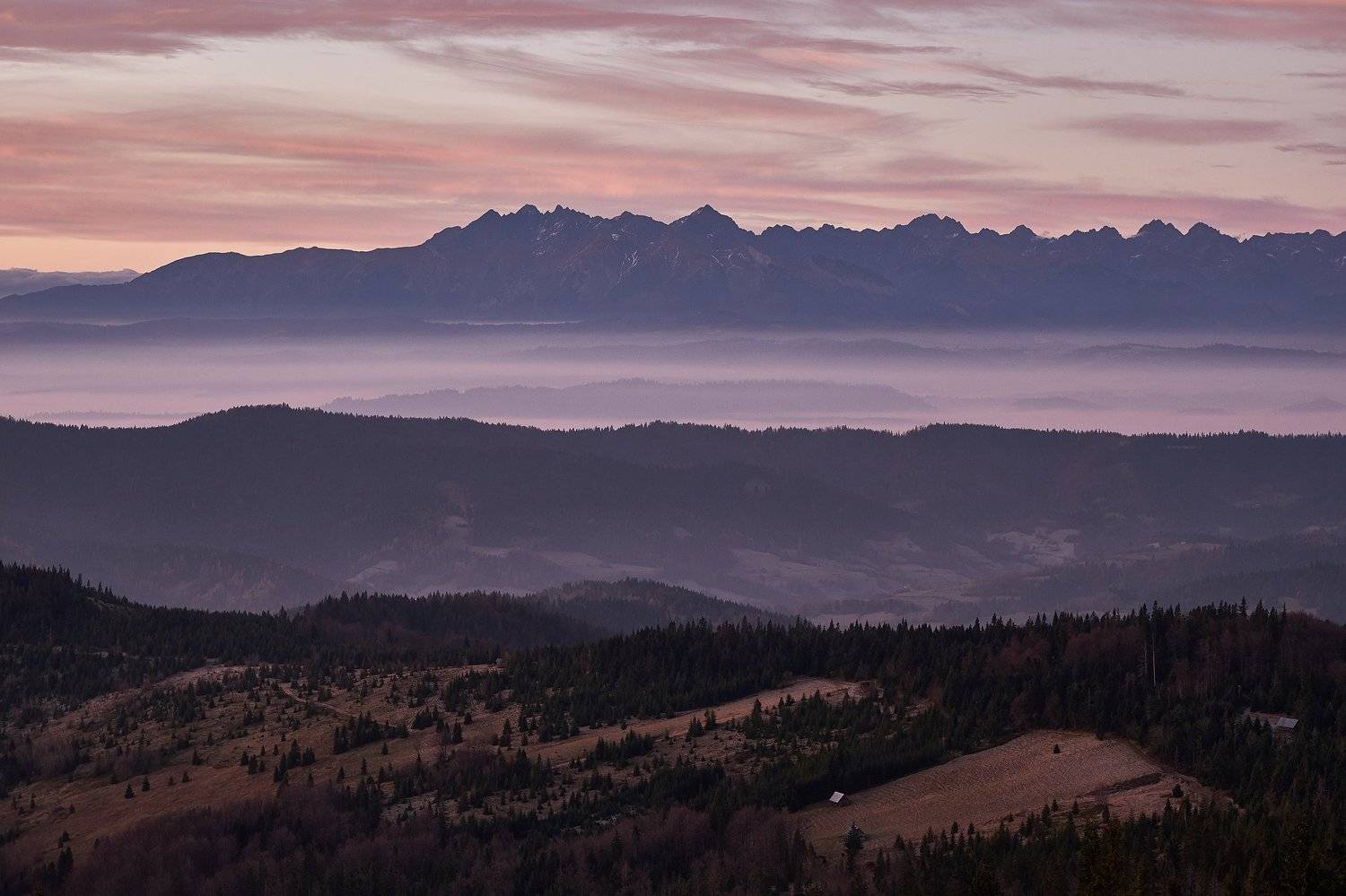 morning,sunrise,sunset,fog,haze,tatras,trees, Kobran