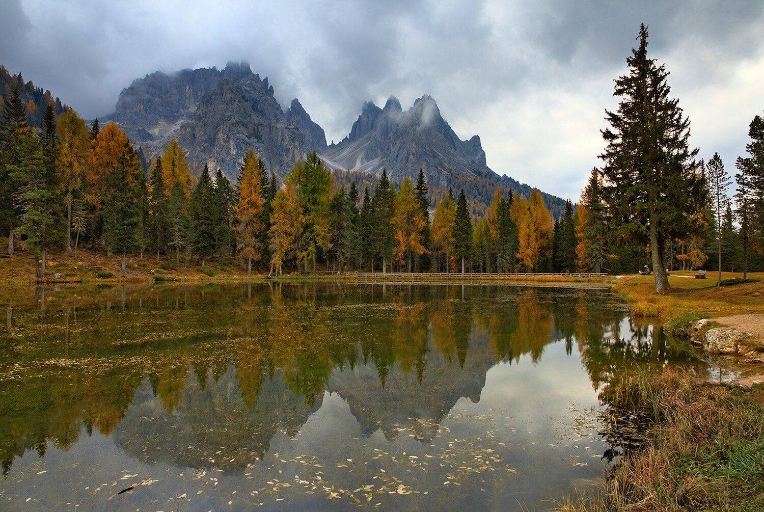 , Игорь Дубровский