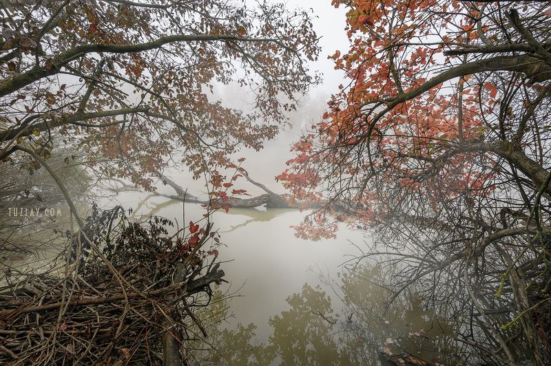 кубань, ноябрь, кубанские туманы, таманский полуостров, темрюк Кубанское ноябрьское 2018 #2 фото превью