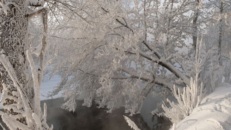 Морозное кружево фото превью