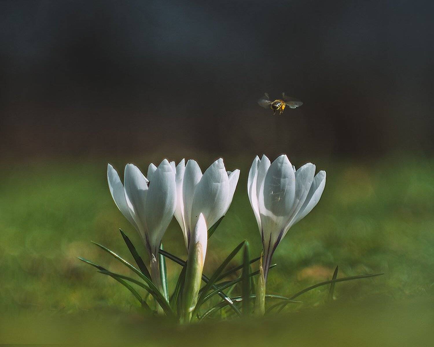 macro,макро, Евгений Лукашук