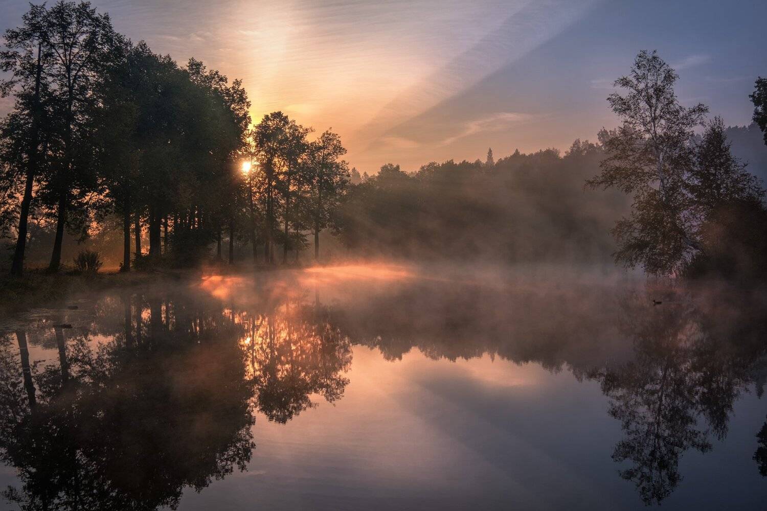 середниково, пруд, барский, туман, утро, рассвет, осень, лес, цвета, солнце, бабье лето, свет, Андрей Чиж
