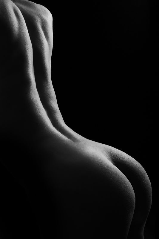 black and white, bodyscape, bodylines, nude, nsfw, butt, ass, butcheeks Down the curves фото превью