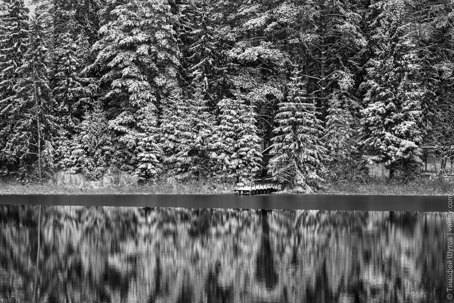 валдай, Тимофей Шутов