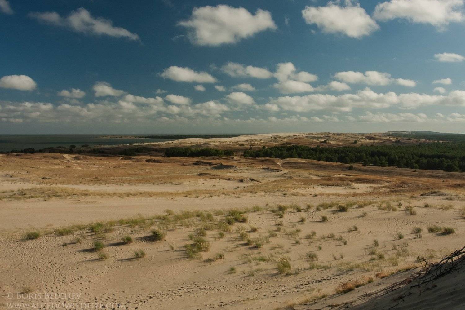 , Борис Белчев