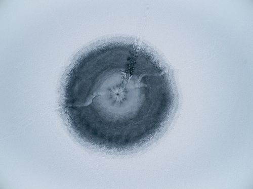 The Eye